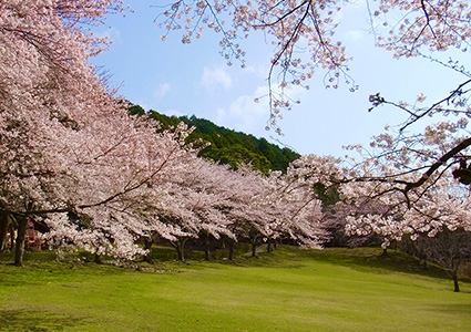 松阪市森林公園