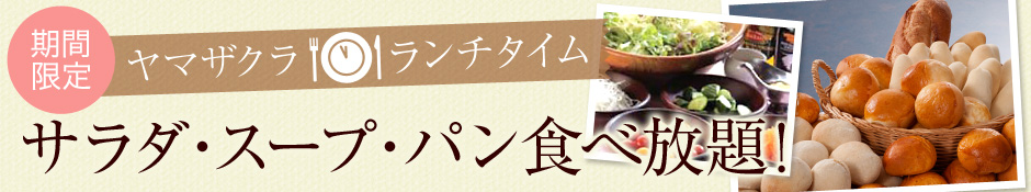 ヤマザクラランチタイム